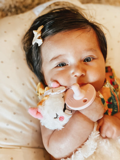 Discounted BLEMISHED Pacifier/Teether PlushieClips - Little BaeBae