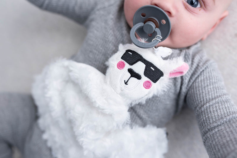 NEW! Pacifier/Teether PlushieClips (plushie security blanket + pacifier clip) - Little BaeBae