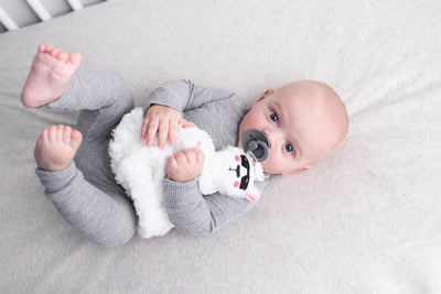 NEW! Pacifier/Teether PlushieClips (plushie security blanket + pacifier clip) - Little BaeBae